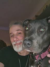 adopting american pitbull puppy in chicago