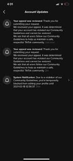 Tiktok Removed My Bio I Submitted An Appeal They Said I Still Violate It But My Content Is Still Up R Tiktokhelp