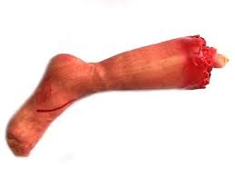 Ruyada Esinin Bacaginin Kesildigini Gormek Ruyandagor Com