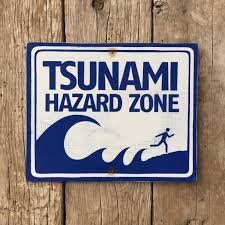 Warning sign tsunami hazard zone with graphic road sign business sign 8x12 inches aluminum metal tin sign z0387 $6.99 $ 6. Tsunami Hazard Zone Warning Sign Handmade Vintage Coastal Etsy Tsunami Beach Signs Sign Design