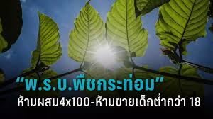 Th.lovepik.com มีภาพ 2200+ ยาเสพติดกัญชา พืชกระท่อมและเห็ด png คุณสามารถ. Ranya Academy à¸„à¸£à¸¡ à¸­à¸™ à¸¡ à¸• à¸£ à¸²à¸‡à¸žà¸£à¸°à¸£à¸²à¸Šà¸š à¸à¸ à¸• à¸ž à¸Šà¸à¸£à¸°à¸— à¸­à¸¡ Facebook