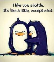 You want her engaged in conversation and excited to talk to you. Cute Quotes To Make Her Smile In The Morning Quotes Quoteray Com