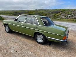 Image result for Cactus Green 1980 Mercedes