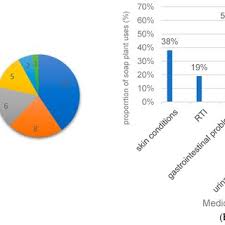 Image result for Helinus spartioides