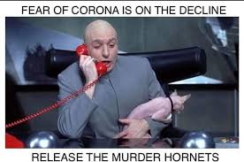 Thirty Nine Disaster Laden 2020 Memes Because We Re All Over It Funny Pictures Memes The Funny