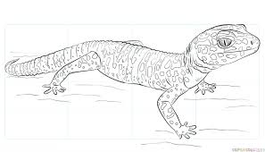 Black And White Leopard Gecko Clipart Pin On Sketches