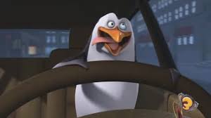 Europe's most wantedand penguins of madagascar. Penguins Of Madagascar Image Rico Driving With His Crazy Face Xd Penguins Of Madagascar Madagascar Penguins