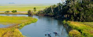 Staff Directory • Jeff Riggins