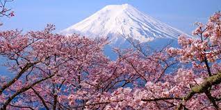 Lifestyle 02 mar 2020 19:03 Kenapa Sakura Jadi Bagian Penting Budaya Jepang Dulu Penanda Waktu Tanam Padi Halaman All Kompas Com