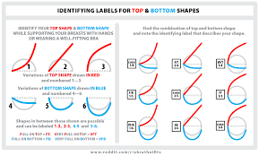 41 Eye Catching Bra Size Meanings