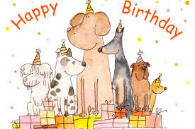 Divertente e simpatica, curiosa ed intelligente, furba e graziosa. Biglietti Di Auguri Di Compleanno Con Gatti E Cani 7 Design Donnad