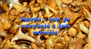 Check spelling or type a new query. Kurki W Kuchni Jak Je Oczyscic I Jak Mrozic Szlakami Smakow