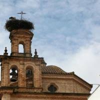Restaurantes perto de essentia restaurant, aracena, huelva. The 10 Best Sierra De Aracena Y Picos De Aroche Hotels Where To Stay In Sierra De Aracena Y Picos De Aroche Spain