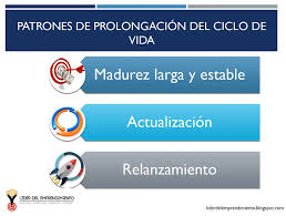 Que Es El Ciclo De Vida Del Producto Lider Del Emprendimiento