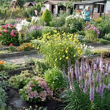 Wird ein einfamilienhaus vermietet, das in einem garten liegt oder zu dem ein garten gehört, dann ist die benutzung des gartens nicht vertraglich ausgeschlossen, dann können sie in dem garten. Garten Mieten So Pachten Sie Einen Schrebergarten Mein Schoner Garten