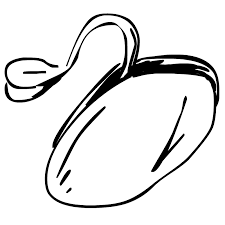 When you grow lentils pyrethrin will eliminate adults, but to reduce the population of their wingless nymph stage, you'll also. Beans Coloring Pages Best Coloring Pages For Kids