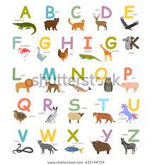 Pepperoni is usually made from a blend of beef and pork, or cow and pig. Childrens English Alphabet Animals Cartoon Style Stock Vektorgrafik Lizenzfrei 631594724