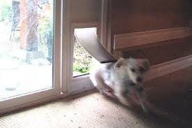 We are especially proud of our sliding glass patio pet door selection. Pin On Outdoor
