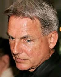 Lauren Holly, Mark Harmon, Pauley Perrette, David McCallum, Sean Murray,  Michael Weatherly, Brian Dietzen, and Cote de Pablo at an event for NCIS