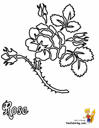 Hundreds of free spring coloring pages that will keep children busy for hours. Sweet Rose Flowers Coloring Pages 26 Free Rose Coloring Pages