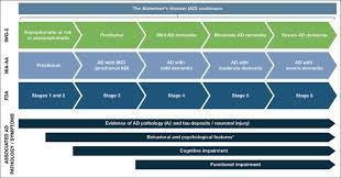 Diagnosis Of Early Alzheimer S Disease Clinical Practice In 2021 Springerlink