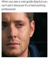 Justviral Co Memes Hilarious Humor