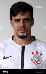 Lemos hi-res stock photography and images