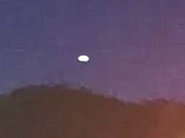 本物のUFO写真公開！ 国際UFO研究所の「そら豆」UFO映像を徹底分析｜webムー 世界の謎と不思議のニュース＆考察コラム