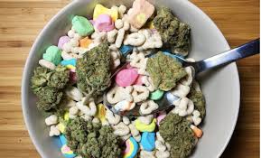 We did not find results for: How To Wake Bake And Crush Your Day Heyhellohigh Cannabis Lifestyle For Modern Women