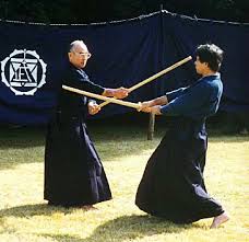 We did not find results for: Shindo Muso Ryu Jojutsu