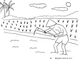 Blog ini membahas tentang kumpulan berbagai macam gambar sketsa wajah, sketsa pemandangan, sketsa bunga dan lainnya. Morning News Sketsa Petani Islam Adalah Aksi Petani Adalah Aktornya Besuki Id Mewarnai Gambar Sketsa Caping Gunung Topi Petani