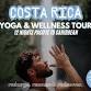 YogiWhale – Yoga & Wellness Tour event image