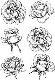 Rose flowers clip art black and white. Rose Flower Drawing Black And White Rose Png Clipart Large Size Png Image Pikpng