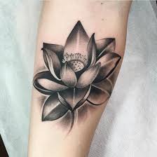 Black And Gray Lotus Flower Tattoos Beautiful Black And Gray Lotus Tattoo Done By Cally Jo At Grit N Glory Lotus Flower Tattoo Design Flower Tattoo Meanings Lotus Tattoo Shoulder