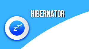 Click the button below to download the app, captcha may show in some cases . Hibernator Mod Apk 2 22 1 Pro Unlocked For Android