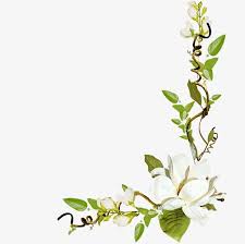 leaves and white flowers png clipart flower flowers flowers clipart green green leaves free png download leaves and white flowers png clipart