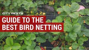 Netting to keep birds from reaching your plants comes in many shapes, sizes and forms. Best Bird Netting Reviews Protect Your Garden Plants Bird Control