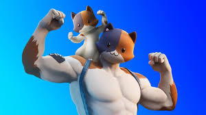 Meowscles was last seen residing at the box factory by the end of the season, then he handed it down to his son, kit. Fortnite Muskelkater Skin Fortnite Skins Nite Site