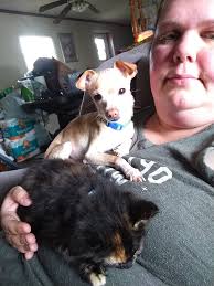 Okay chihuahua parents I need help I have a lil chihuahua and me and my  husband moved recently and when we did my chihuahua has to go everywhere  with us cause I