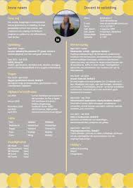 Cv Ontwerp Denndesign