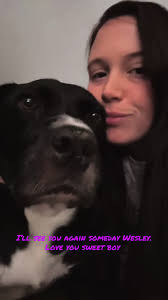 Death of Wesley Figg