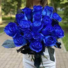 Синие розы фото картинки