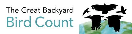 Excellent quality seed does make a difference in my bird experience and only wild birds unlimited offers that level of seed. 24th Annual Great Backyard Bird Count Birds Canada Oiseaux Canada