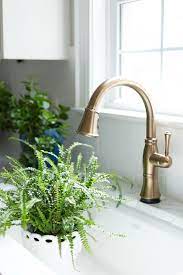Get 5% in rewards with club o! Cassidy Delta Faucet Champagne Bronze Finish Kitchendesign Gold Kitchen Delta Faucet Champagne Bronze Gold Kitchen Faucet