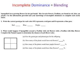 Some of the worksheets displayed are spongebob loves growing flowers for his pal sandy her, incomplete and codominance work name, codominantincomplete dominance practice work, define codominance define. You Need Clean Paper 2 Pencil Genetic Disorder Project Page Bikini Bottom Ws Vocab Match Cut Paste Color Warm Up Mental Math Be Ready I Can Ppt Download