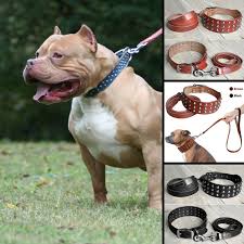 Black And Brown Pitbull Pitbull Cool Studded Genuine Leather Dog Collars Leash Set For Medium Or Large Dog Black Brown Pitbull Leather Leather Dog Collars Pitbulls Large Dogs
