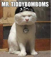 20 Ridiculous Cat Names Funny Cat Photos Funny Cat Pictures Funny Animal Pictures