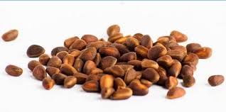 Les noix de cajou ou noix de cajou sont considérées comme des aliments riches en matières grasses et en calories, mais si elles sont consommées avec modération, elles sont très saines. Quelles Noix Pouvez Vous Manger Lorsque Vous Perdez Du Poids Sur Un Regime Table De Calories Avantages Pour Les Femmes Et Composition