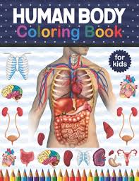 Human anatomy coloring book for kids: Human Body Coloring Book For Kids An Entertaining And Instructive Guide To The Human Body Bones Muscles Blood Nerves And How They Work Anatomy C Paperback Eso Won Books