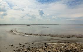 Ваттовое море является необычным географическим объектом. Vattovoe More Stichting Werelderfgoed Nederland